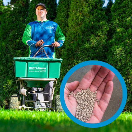 Calcitic Lime - 5% off