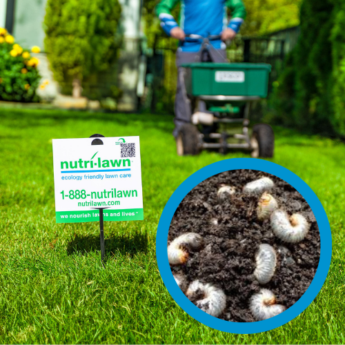 Grub Control (10% Off)