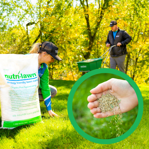 Core Aeration/Overseed