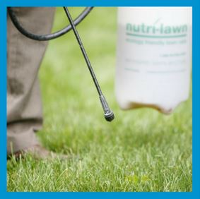 Fiesta Weed Control