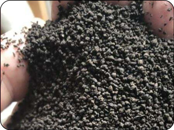 Pelletized Organic Compost