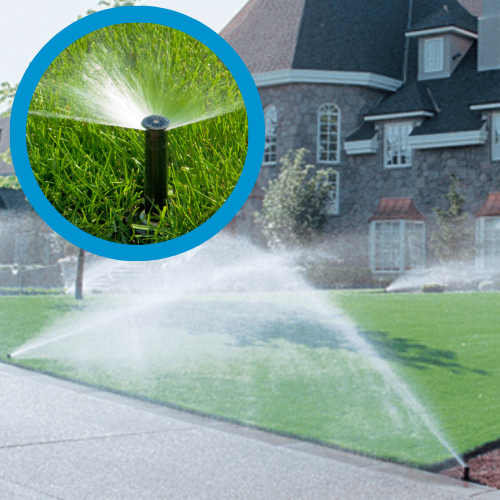 Irrigation Visit