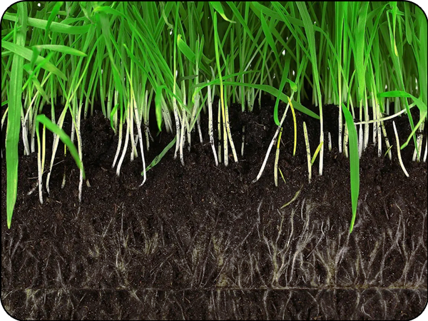 Liquid Aeration