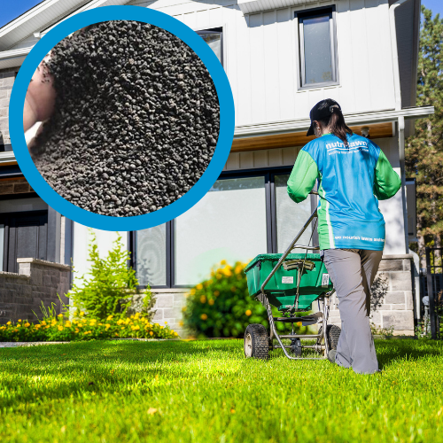 Granulated Compost