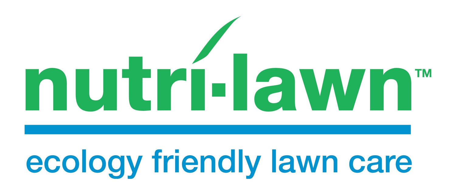 Fall Lawn Repair