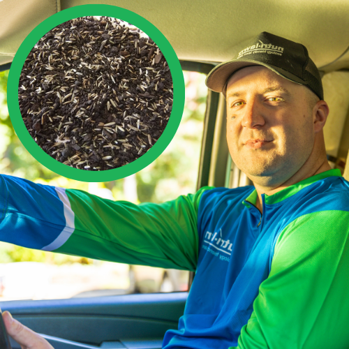 Seed & Feed
